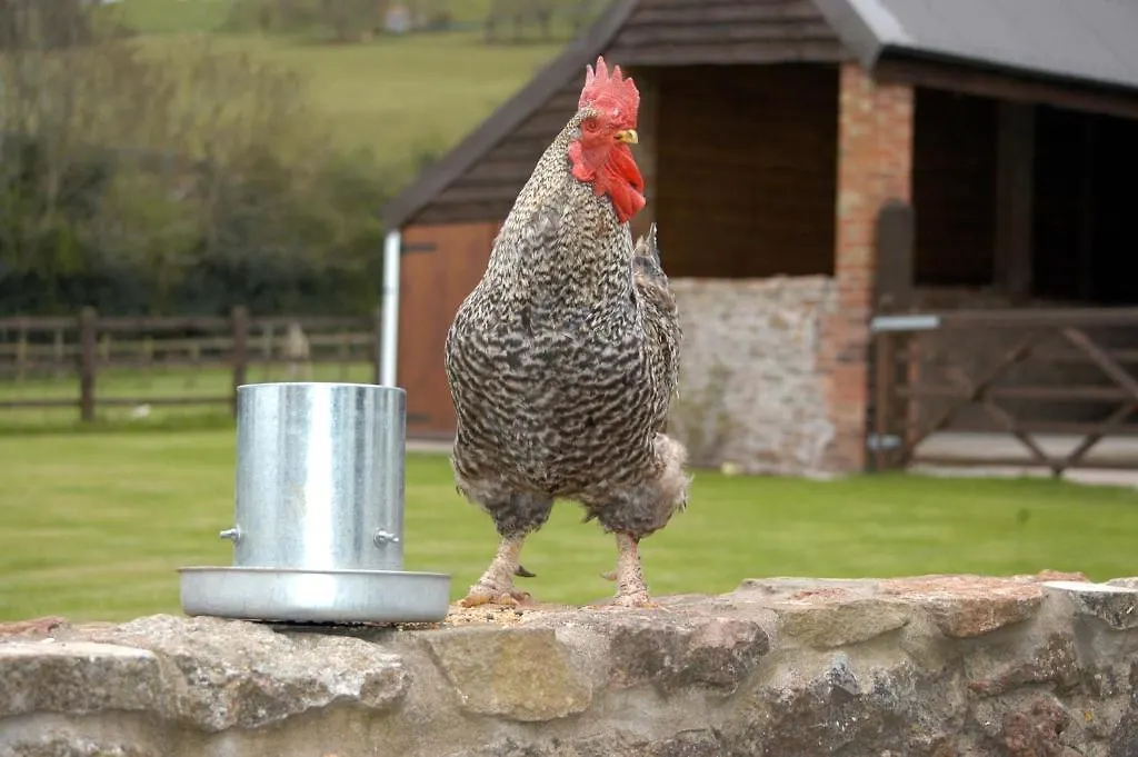 School Farm Bed & Breakfast Blagdon
