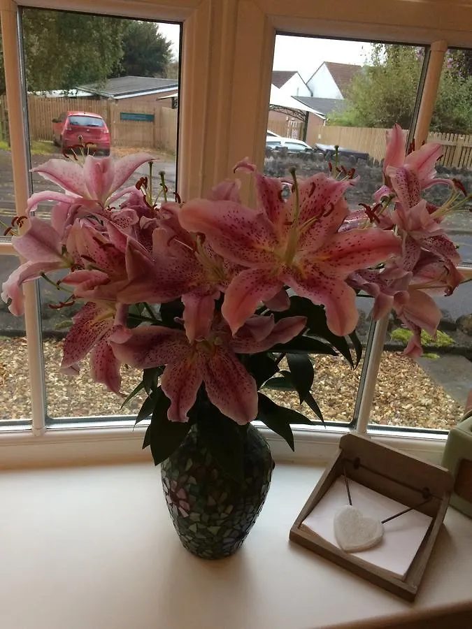School Farm Bed & Breakfast Blagdon 0*,